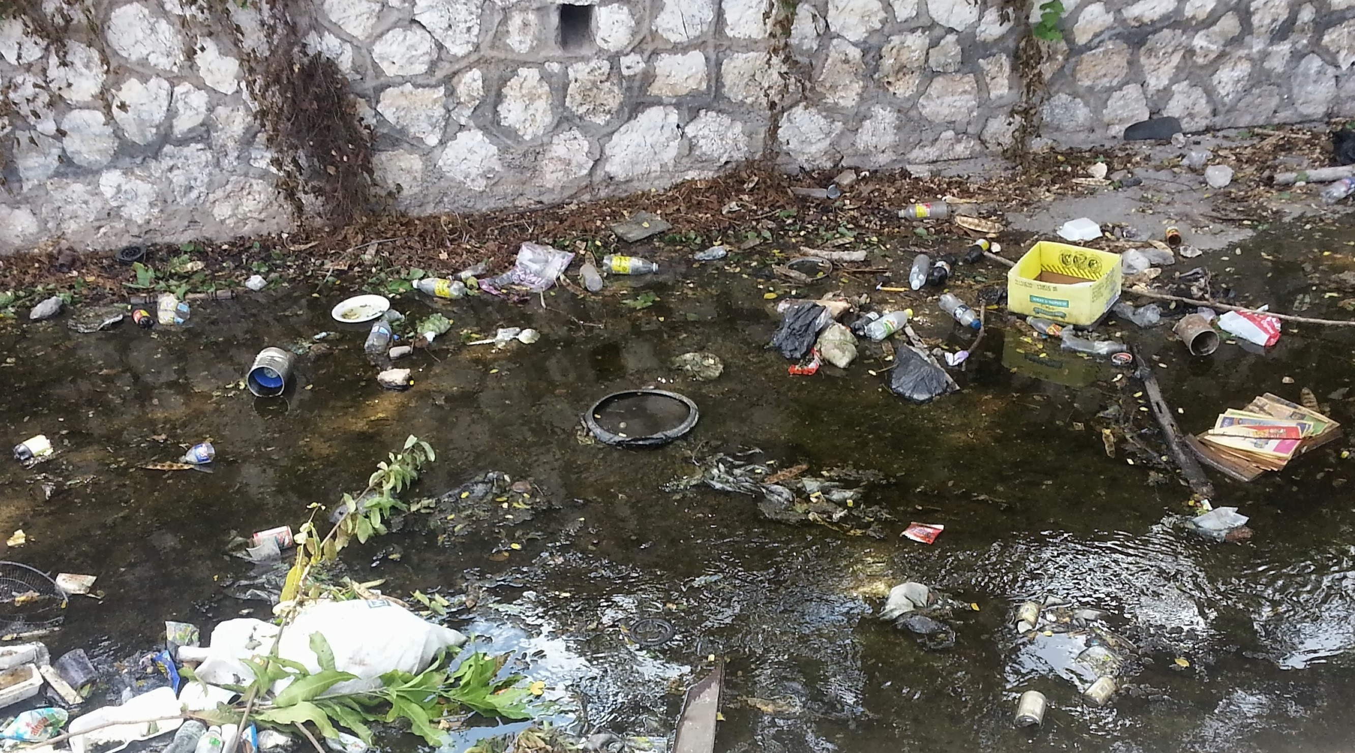 Trash flows through canal